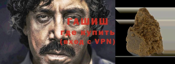 гашик Алексин