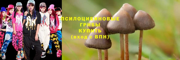 гашик Алексин