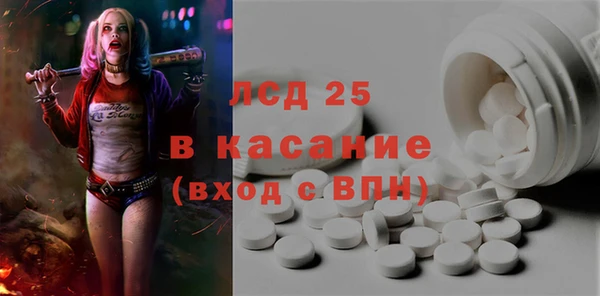 гашик Алексин
