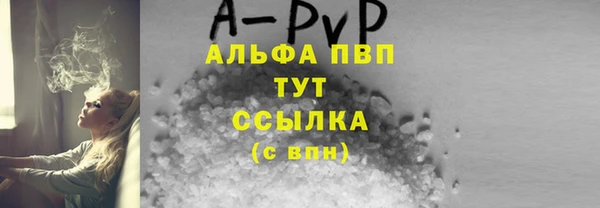 гашик Алексин