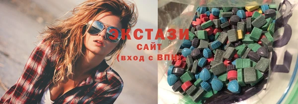 гашик Алексин