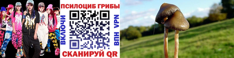 Галлюциногенные грибы мицелий  Оса 